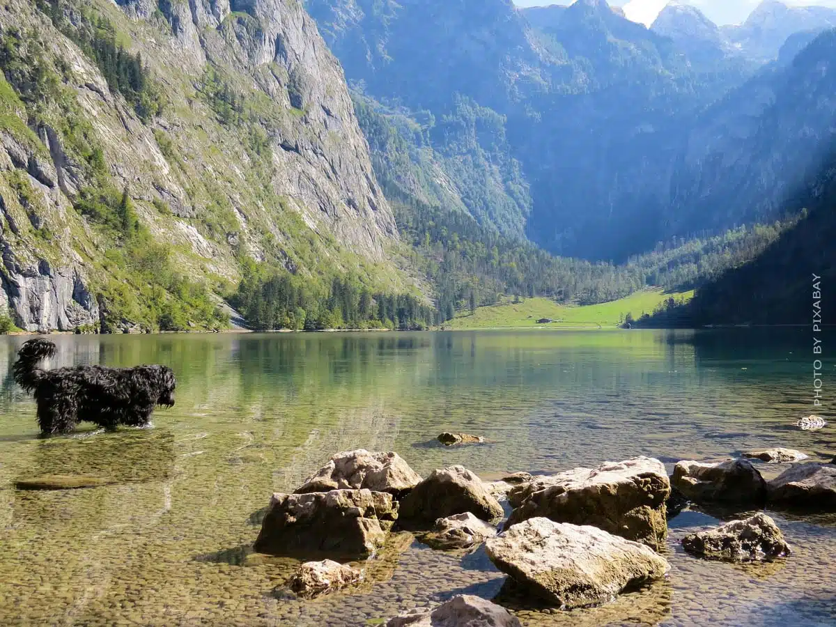 Camping Berchtesgaden: Wandern, Ski fahren & Ausflugsziele