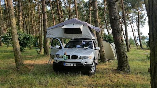 Ein BMW mit aufgestelltem Dachzelt fürs Auto parkt im Wald