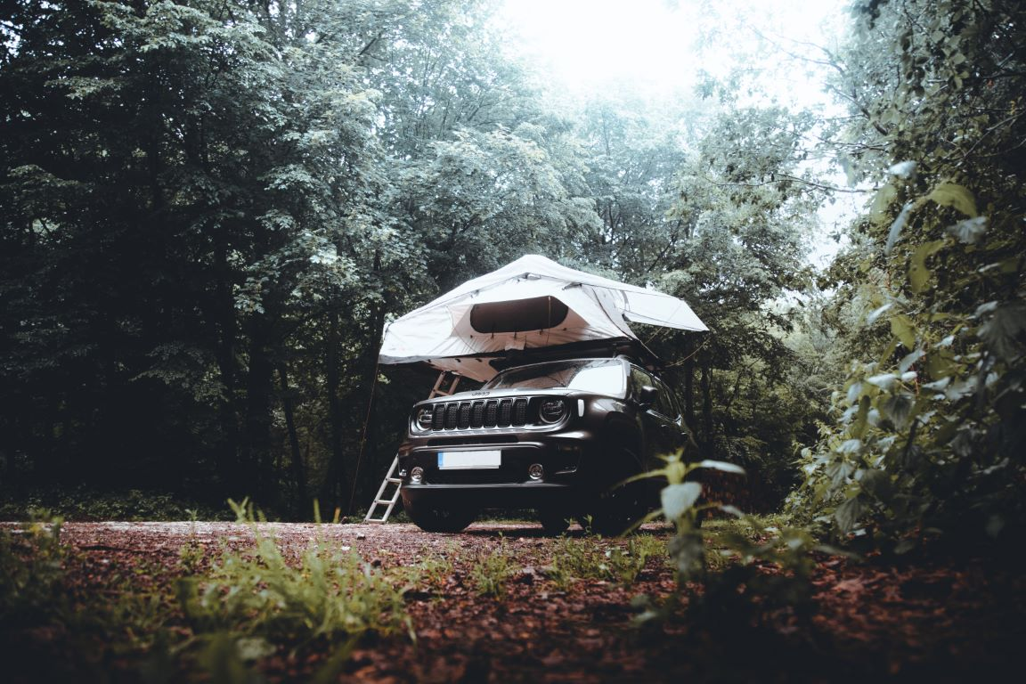 Een zwarte auto met witte CAMPWERK-daktent staat geparkeerd in een bos.